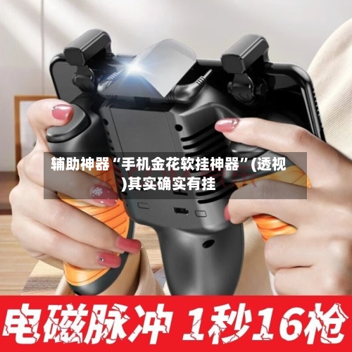 辅助神器“手机金花软挂神器”(透视)其实确实有挂-第1张图片